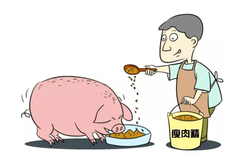 1745993129885354.jpg 1745993114439.jpg